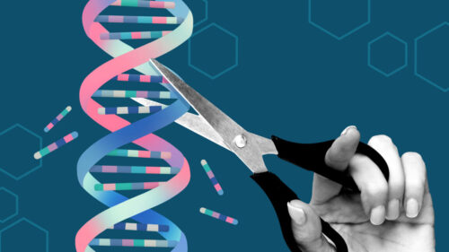 AlphaFold rediseña proteínas CRISPR más seguras
