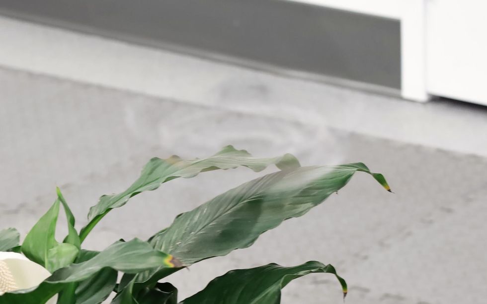 Dron invisible Phantom Twist: cómo girar lo hace imperceptible