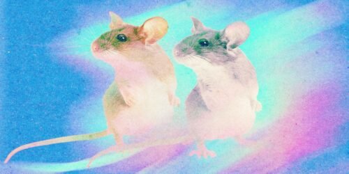 Clonación para conservación: entre salvar especies y bioética humana