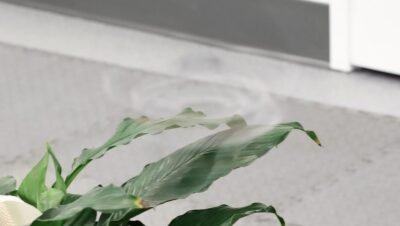 Dron invisible: el Phantom Twist que desafía la visión humana
