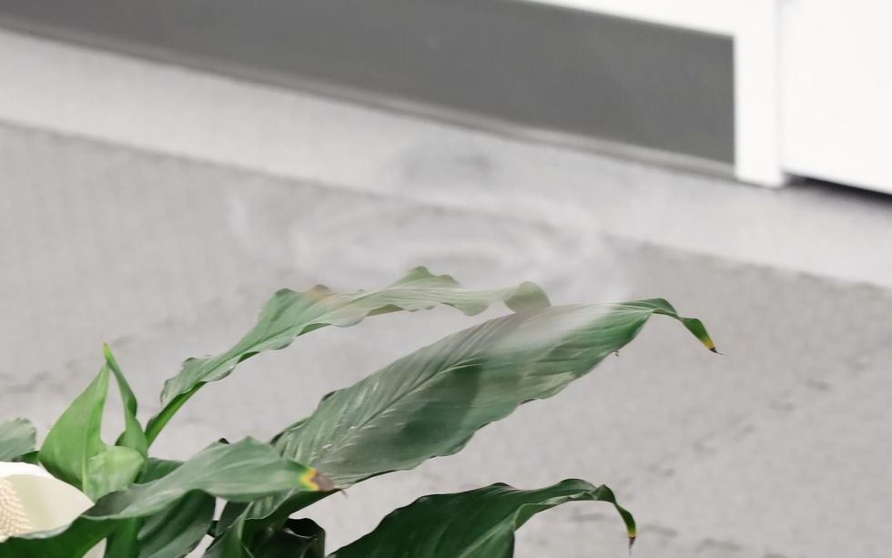 Dron invisible: el Phantom Twist que desafía la visión humana