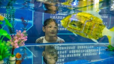 Robots humanoides conquistan China con estrategia de IA encarnada