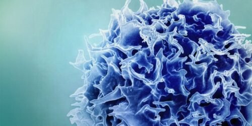 Vacunas de ARNm contra el cáncer: amplificando células T