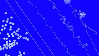 Hilo textil reciclable: MIT crea yarn termoplástico reutilizable