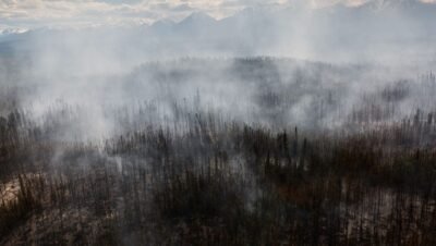Incendios árticos: la carrera para salvar el carbono congelado del planeta