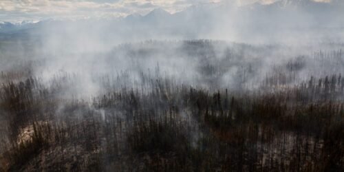 Incendios árticos: la carrera para salvar el carbono congelado del planeta